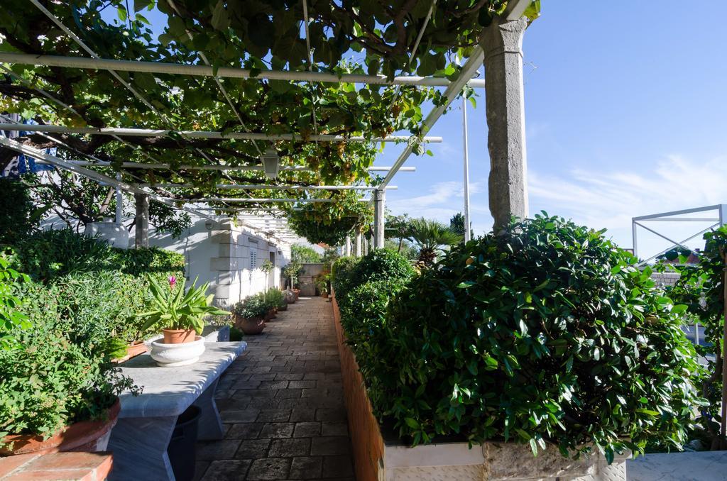 Guest House Jelica Dubrovnik Ngoại thất bức ảnh
